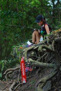 BIB: 
                            <button type="button" onclick="openModal(19487746)" class="btn btn-primary btn-sm float-right btn-popup" data-toggle="modal" data-target=".modal-high-quality">
                        <i class="fas fa-shopping-cart"></i> Add to Cart
                    </button>
                                            <button type="button" onclick="isThisMe(19487746, true)" class="btn btn-success btn-sm float-right btn-popup btn-isme hidden" data-toggle="tooltip" data-placement="bottom" title="นี่คือรูปของคุณใช่ไหม คลิกที่นี่เพื่อเอาเข้าอัลบั้ม">
                        <i class="fas fa-plus"></i> Add to album
                    </button>
                    <button type="button" onclick="isThisMe(19487746, false)" class="btn btn-warning btn-sm float-right btn-popup btn-isnotme hidden">
                        <i class="fas fa-ban"></i> Remove from album
                    </button>